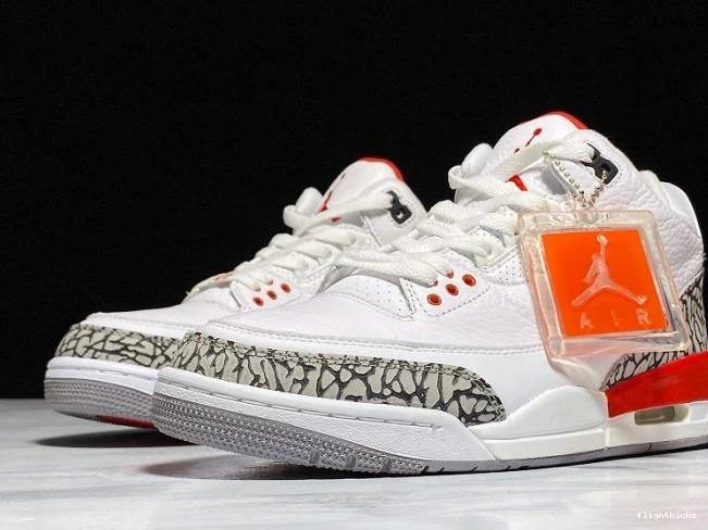 3 of Fame Hall 136064-116 Retro Jordan Air 1110